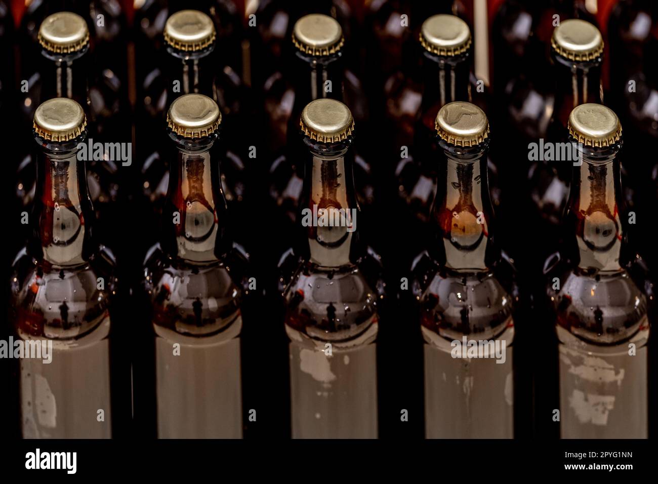 bouteilles de verre avec bière sur la tablette du magasin Banque D'Images
