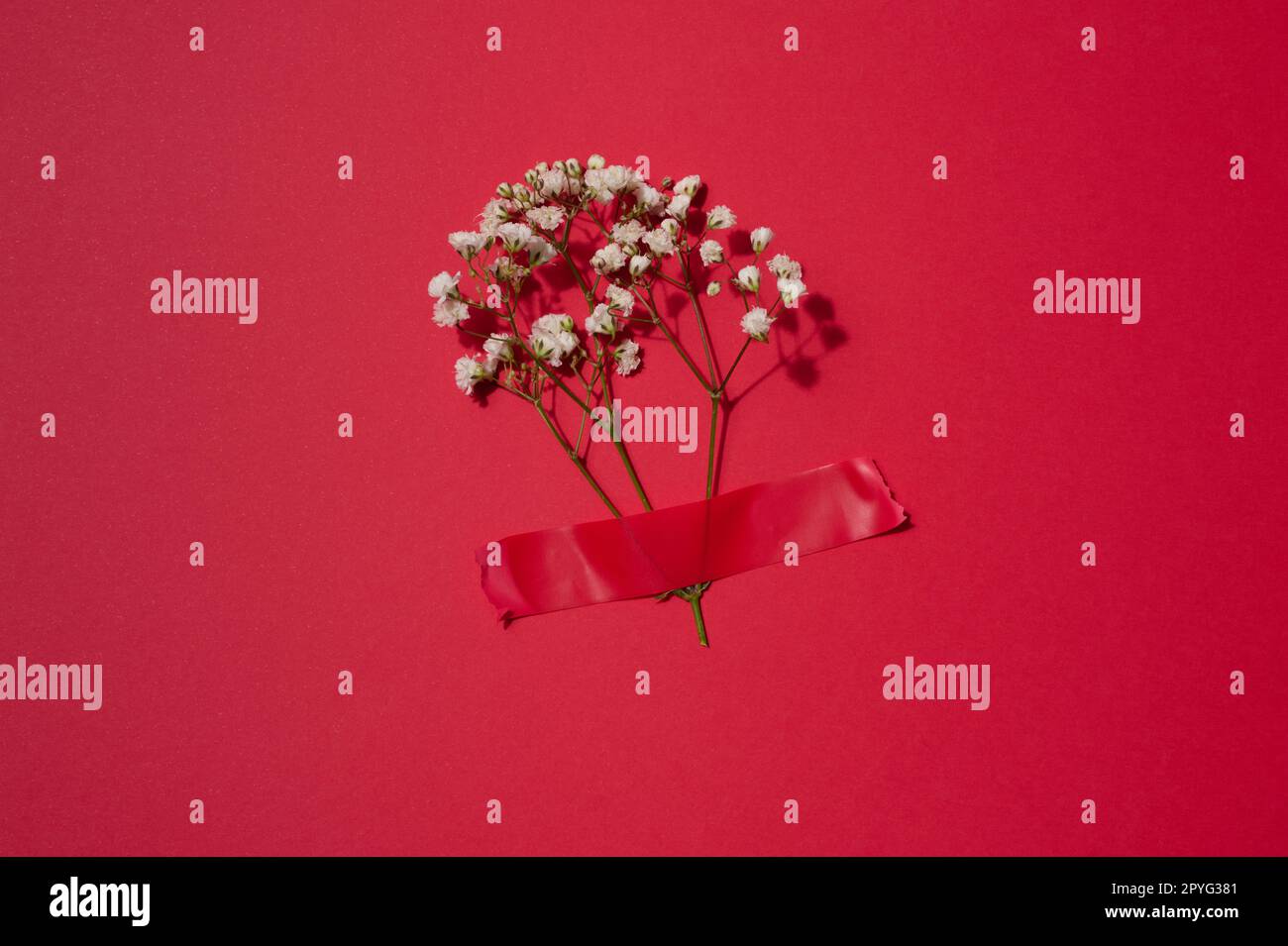 Un bouquet de gitsophila blanc est collé avec du ruban électrique rouge sur fond rouge Banque D'Images