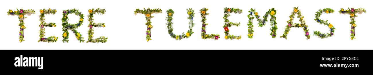 Fleurs colorées Bâtiment Word Tere Tulemast, arrière-plan isolé Banque D'Images
