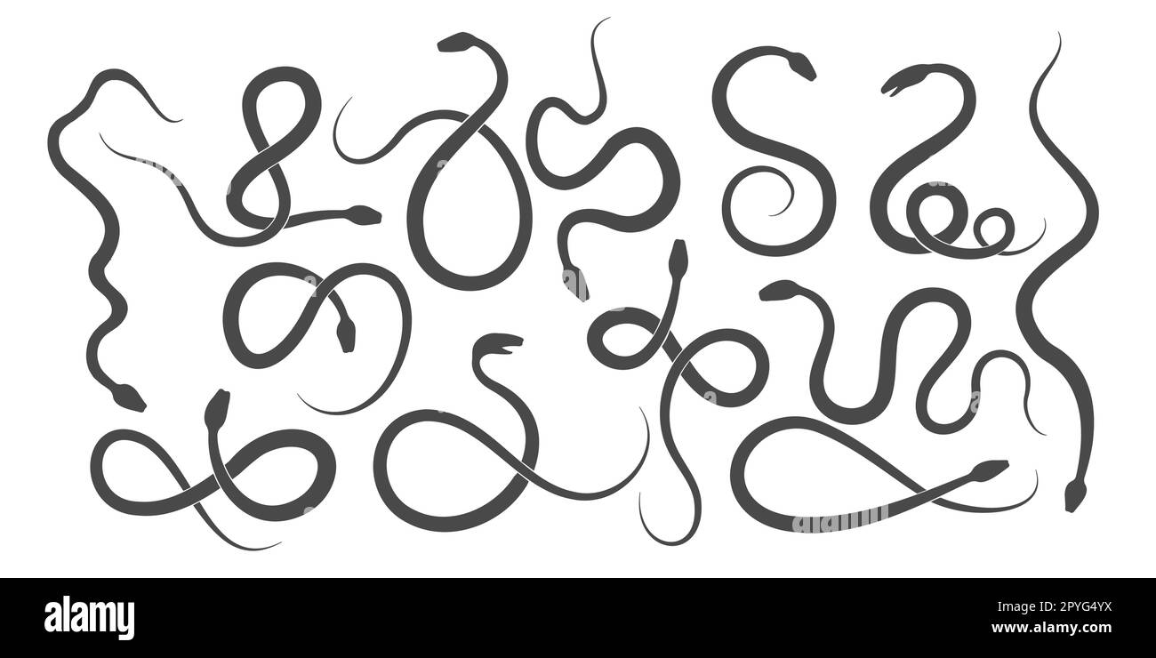 Ensemble de silhouettes Snake. Viper icône animaux pertiles isolée sur fond blanc. Illustration vectorielle. Illustration de Vecteur