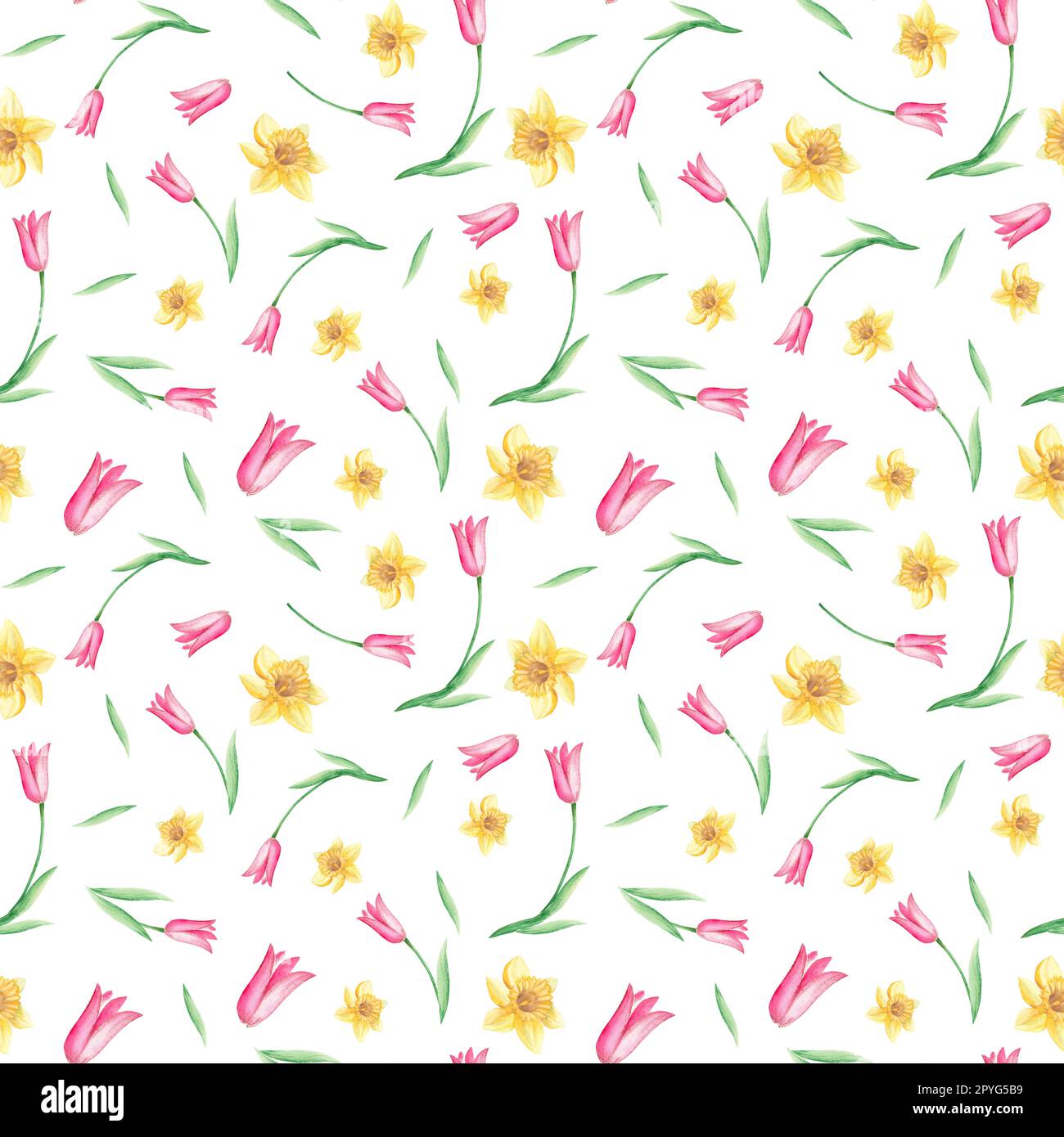 Motif aquarelle sans couture avec narcisse et tulipes sur fond blanc. Peut  être utilisé pour les imprimés en tissu, le papier d'emballage cadeau, le  textile de cuisine Photo Stock - Alamy