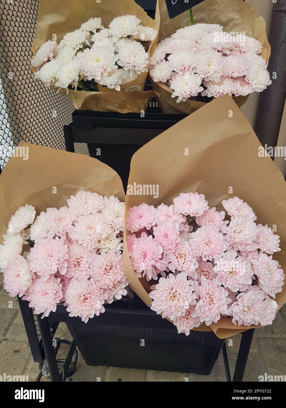 Beaux bouquets de chrysanthèmes en papier kraft brun, sur le comptoir d'un fleuriste, vertical Banque D'Images