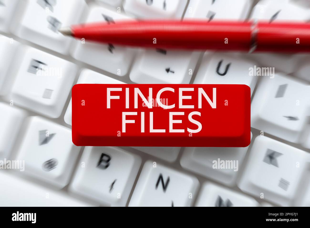 Légende de texte présentant les fichiers FinCEN. Concept Internet transactions d'actifs et de passifs financiers Banque D'Images