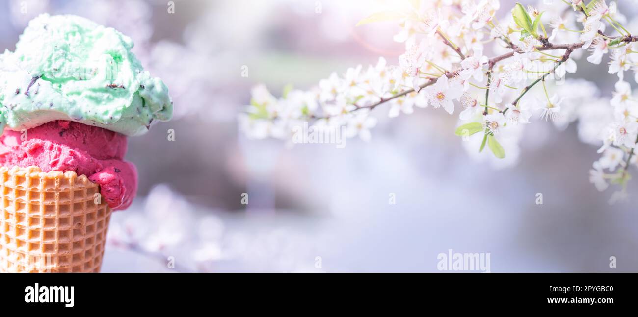 Crème glacée dans une gaufre au printemps Banque D'Images
