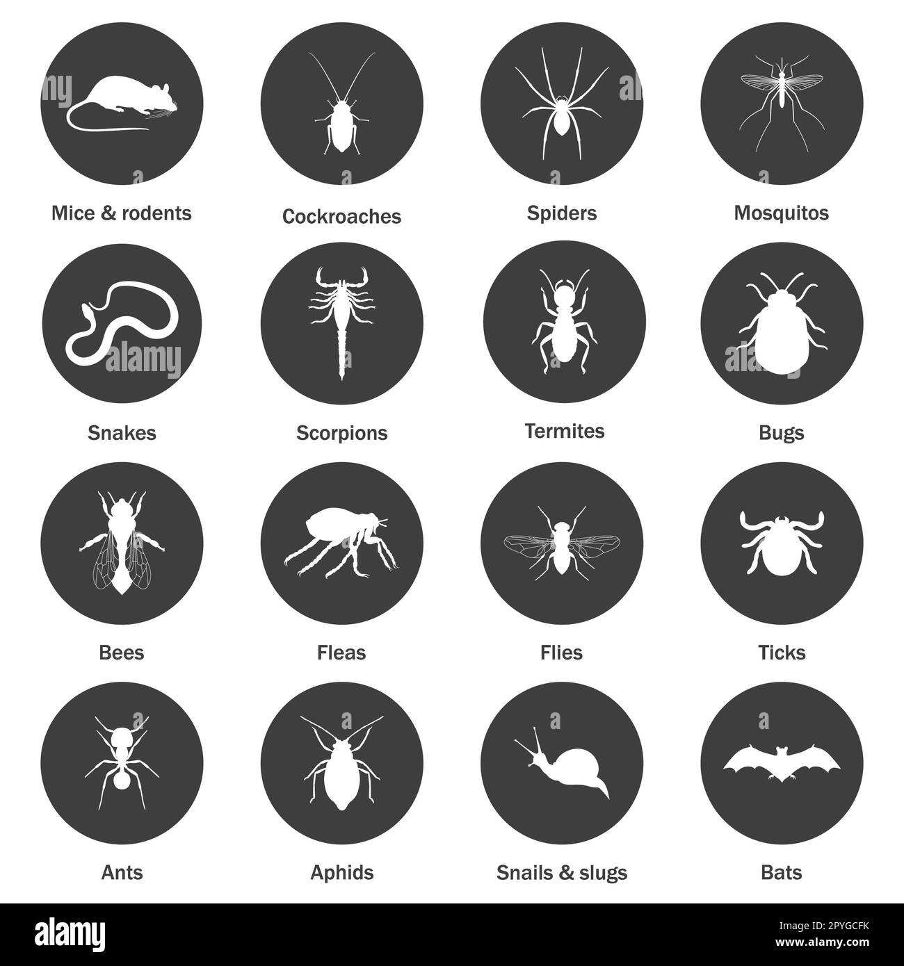 Jeu d'icônes de lutte contre les insectes et les ravageurs. Illustration de Vector EPS8. Banque D'Images