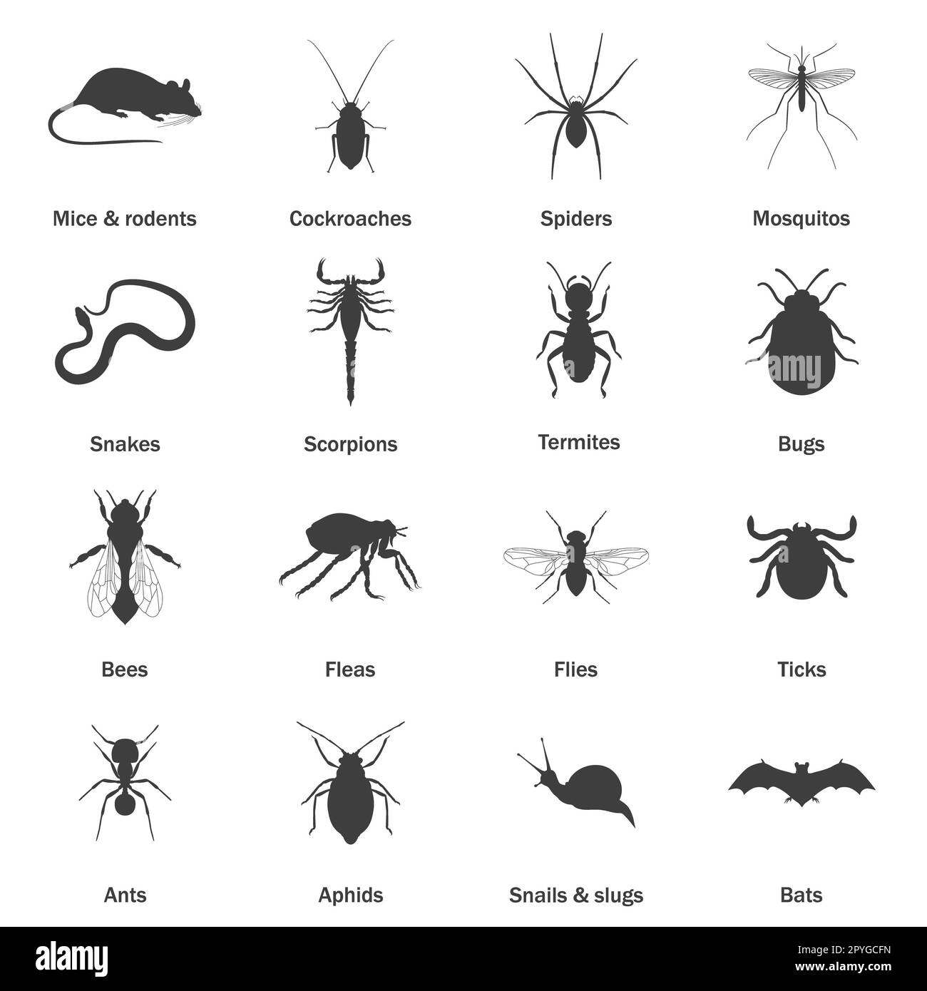 Jeu d'icônes de lutte contre les insectes et les ravageurs. Illustration de Vector EPS8. Banque D'Images