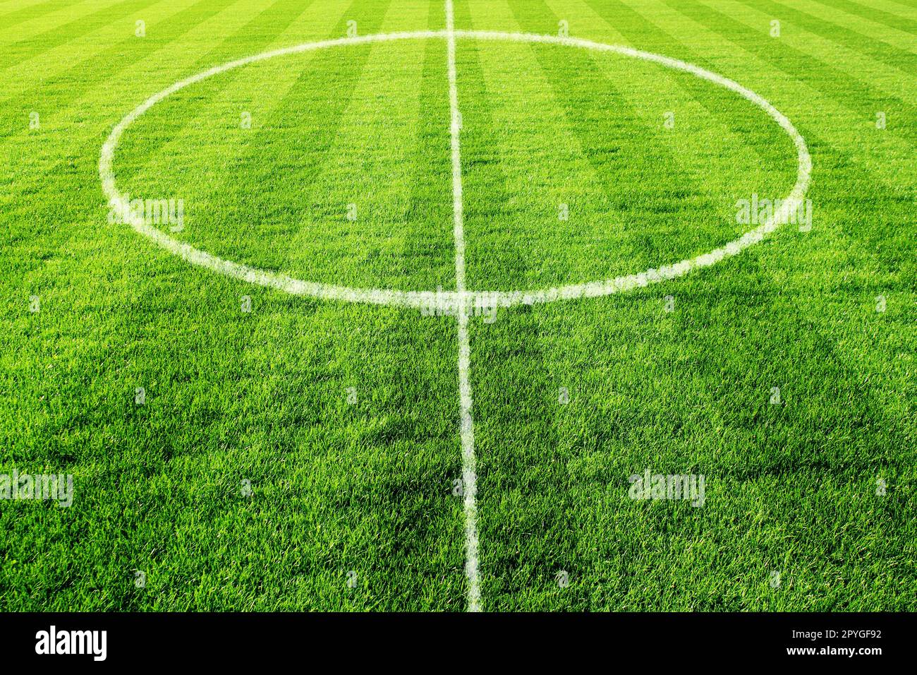 Cercle blanc sur l'herbe verte sur un terrain de football Banque D'Images