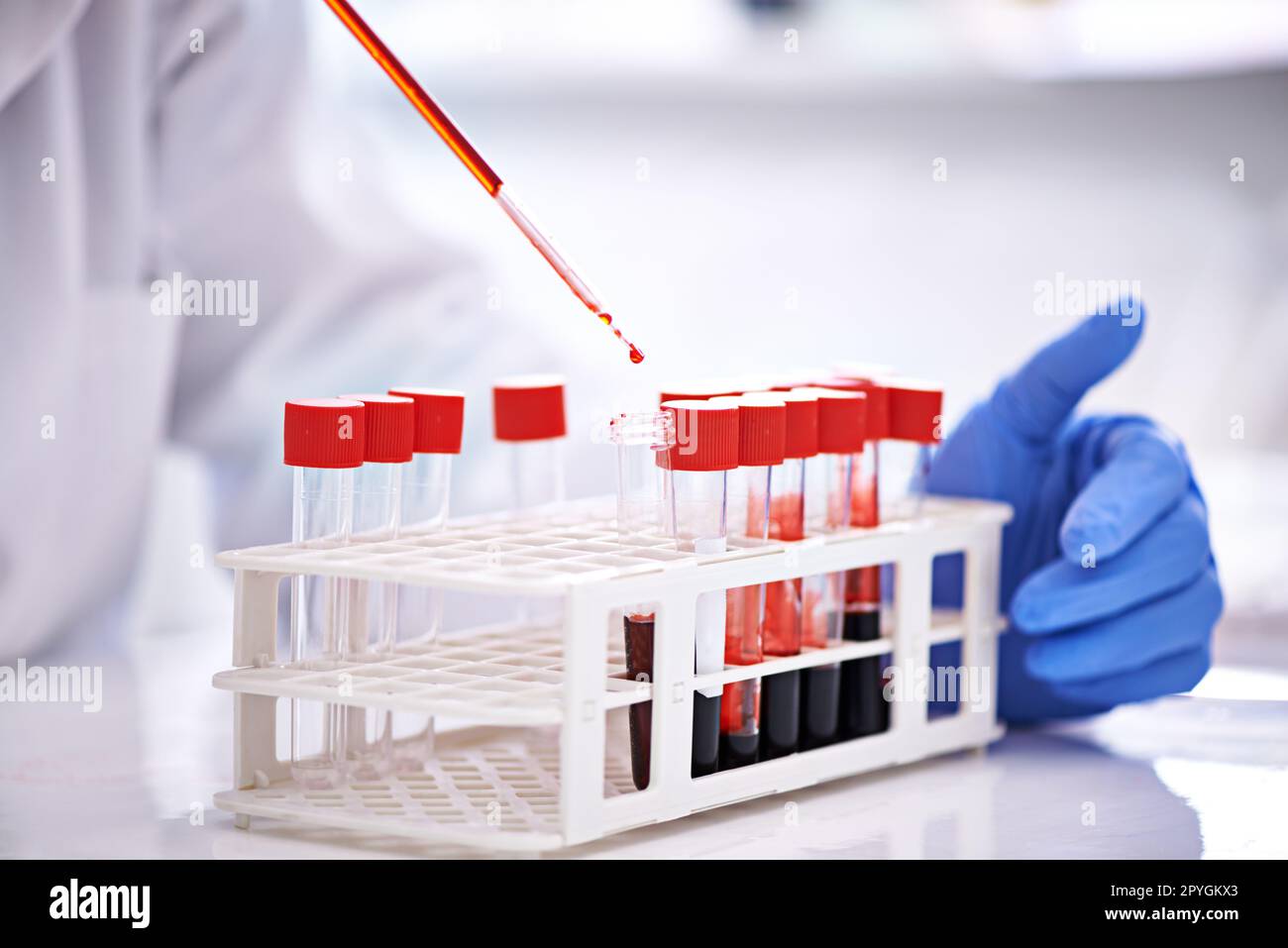 Examen d'un échantillon à la fois. un scientifique travaillant avec des échantillons de sang dans le laboratoire. Banque D'Images