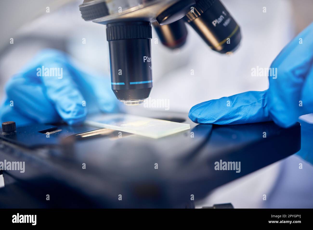 Microscope, bactéries ou mains travaillant dans un laboratoire de science ou de chimie pour l'innovation future dans le domaine de la santé. Recherche, biotechnologie ou scientifique testant des germes, des molécules ou des particules sur une boîte de Pétri Banque D'Images