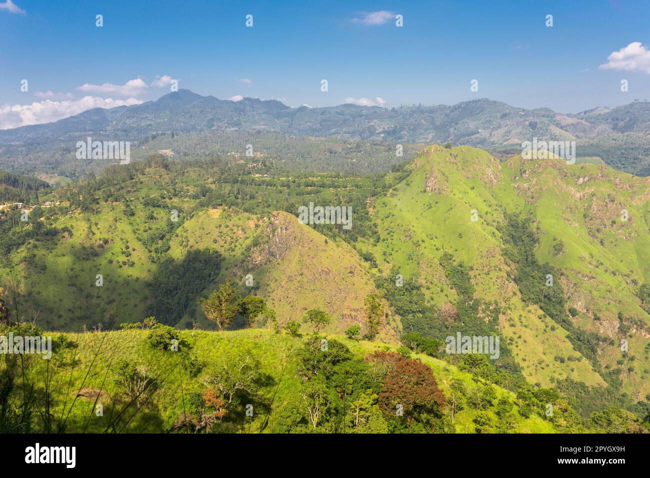 Paysage avec Little Adams Peak dans le pays montagneux du Sri Lanka Banque D'Images