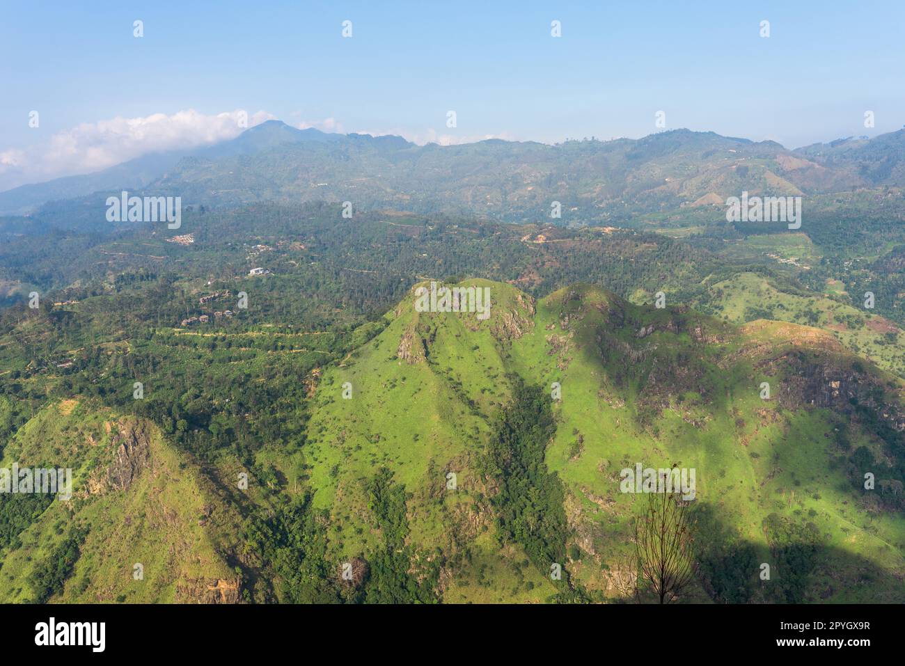 Paysage avec Little Adams Peak dans le pays montagneux du Sri Lanka Banque D'Images