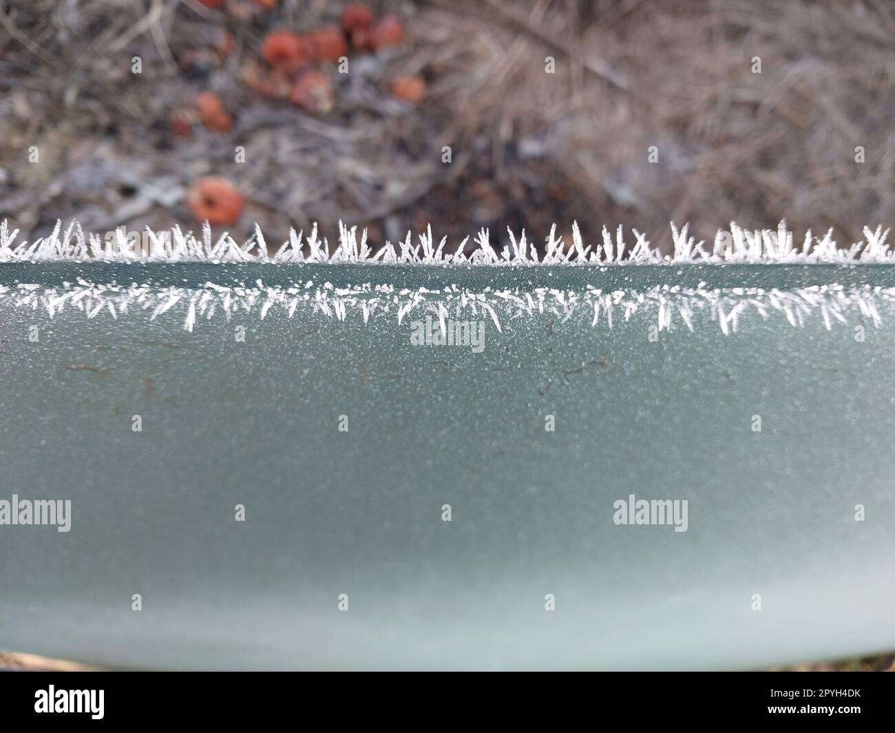 Givre sur verre de voiture gelé Banque D'Images