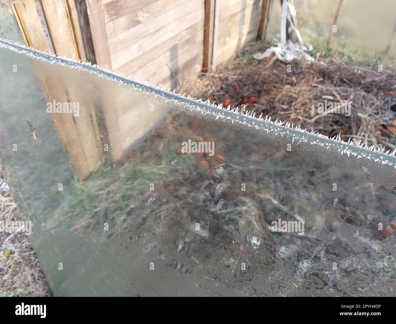 Givre sur verre de voiture gelé Banque D'Images
