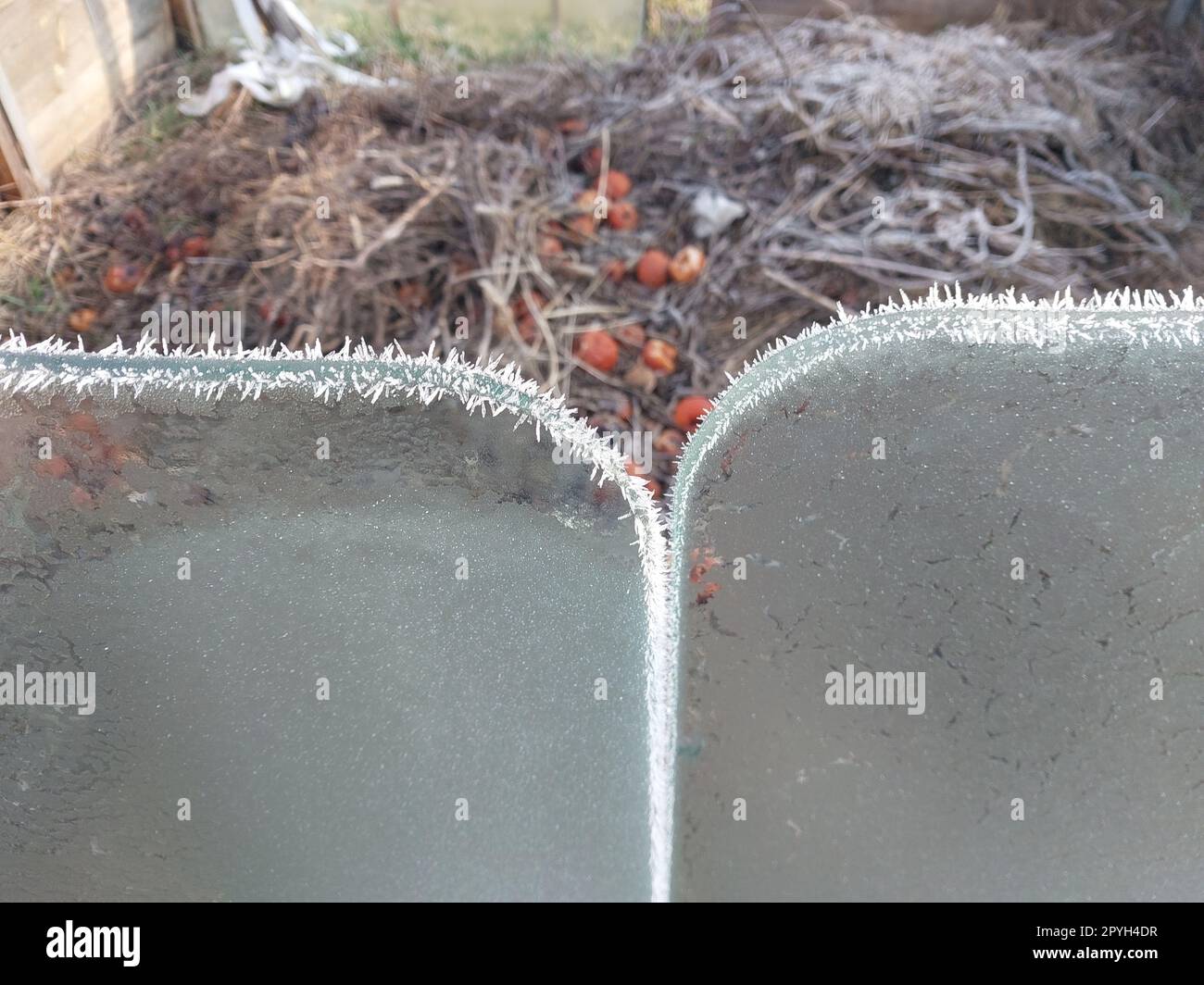 Givre sur verre de voiture gelé Banque D'Images