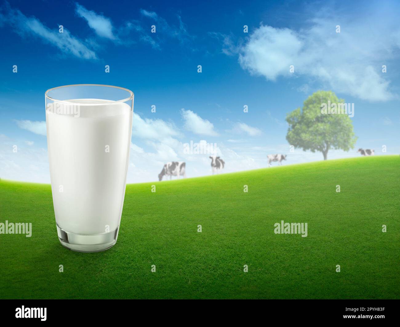 Lait frais en verre et paysage flou avec vache sur la prairie. Une alimentation saine. Style rustique. Espace de conception Banque D'Images