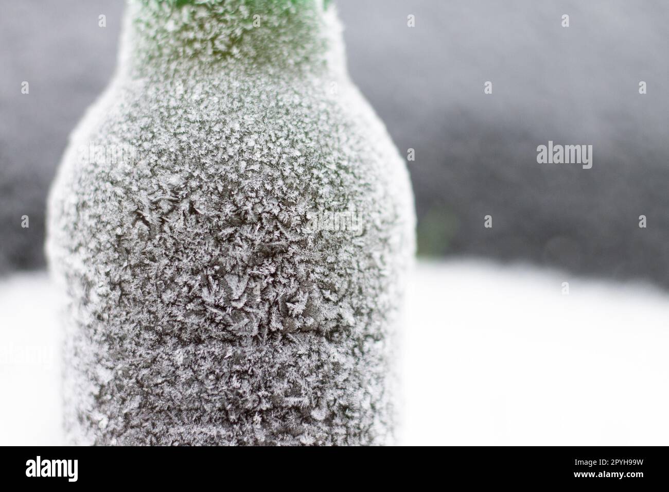 Bouteille de bière partiellement floue recouverte de cerise dans la neige sur fond sombre. Espace de copie Banque D'Images