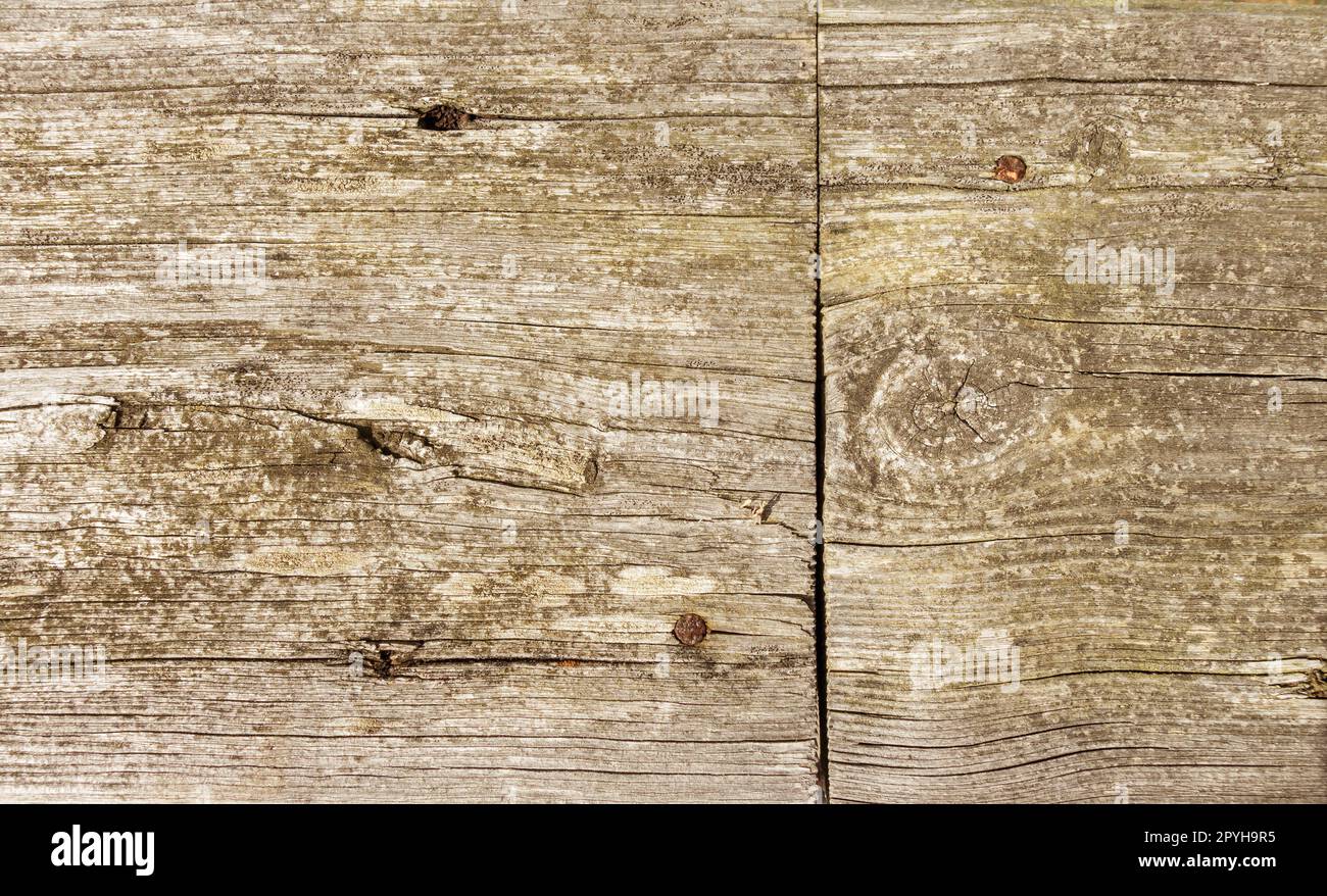 Vieille texture de fond de bois rustique Banque D'Images