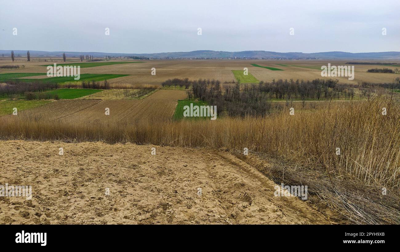 Champ fraîchement labouré. Terres arables avec un sol fertile pour la plantation de blé. Paysage rural en Serbie, Balkans, à savoir Fruska Gora de Sremska Mitrovica. Sillons et fosses. Travaux agricoles préparatoires Banque D'Images