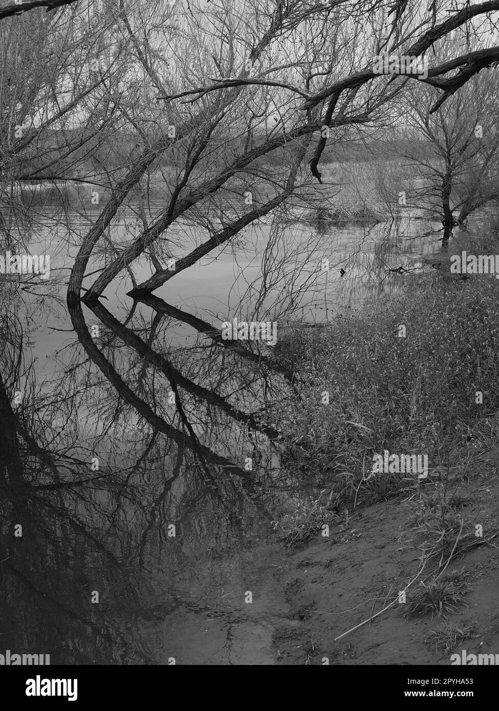 Les loisirs de phon d sutton sont sur la rivière salée Banque d'images noir et blanc Alamy