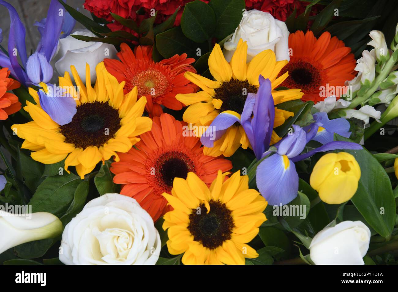 Un beau bouquet dans la province d'Alicante, Costa Blanca, Espagne Banque D'Images