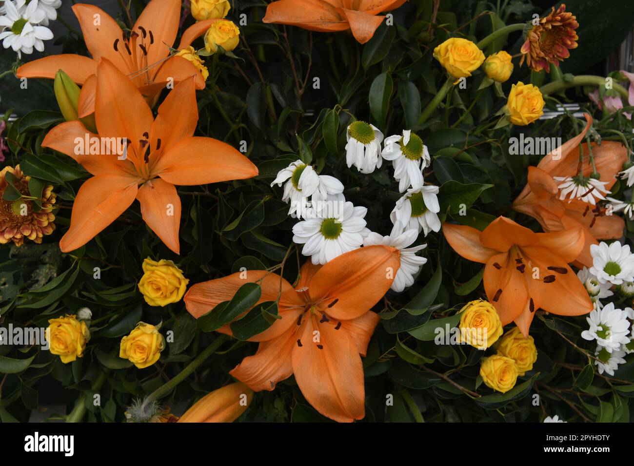 Un beau bouquet dans la province d'Alicante, Costa Blanca, Espagne Banque D'Images