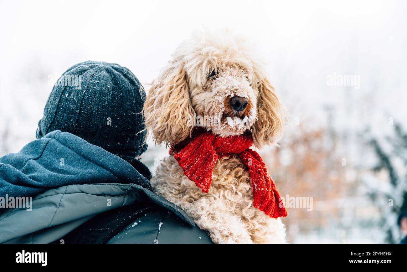 Heureux animal de compagnie et son propriétaire s'amusant dans la neige en saison de vacances d'hiver. Émotion des vacances d'hiver. Banque D'Images
