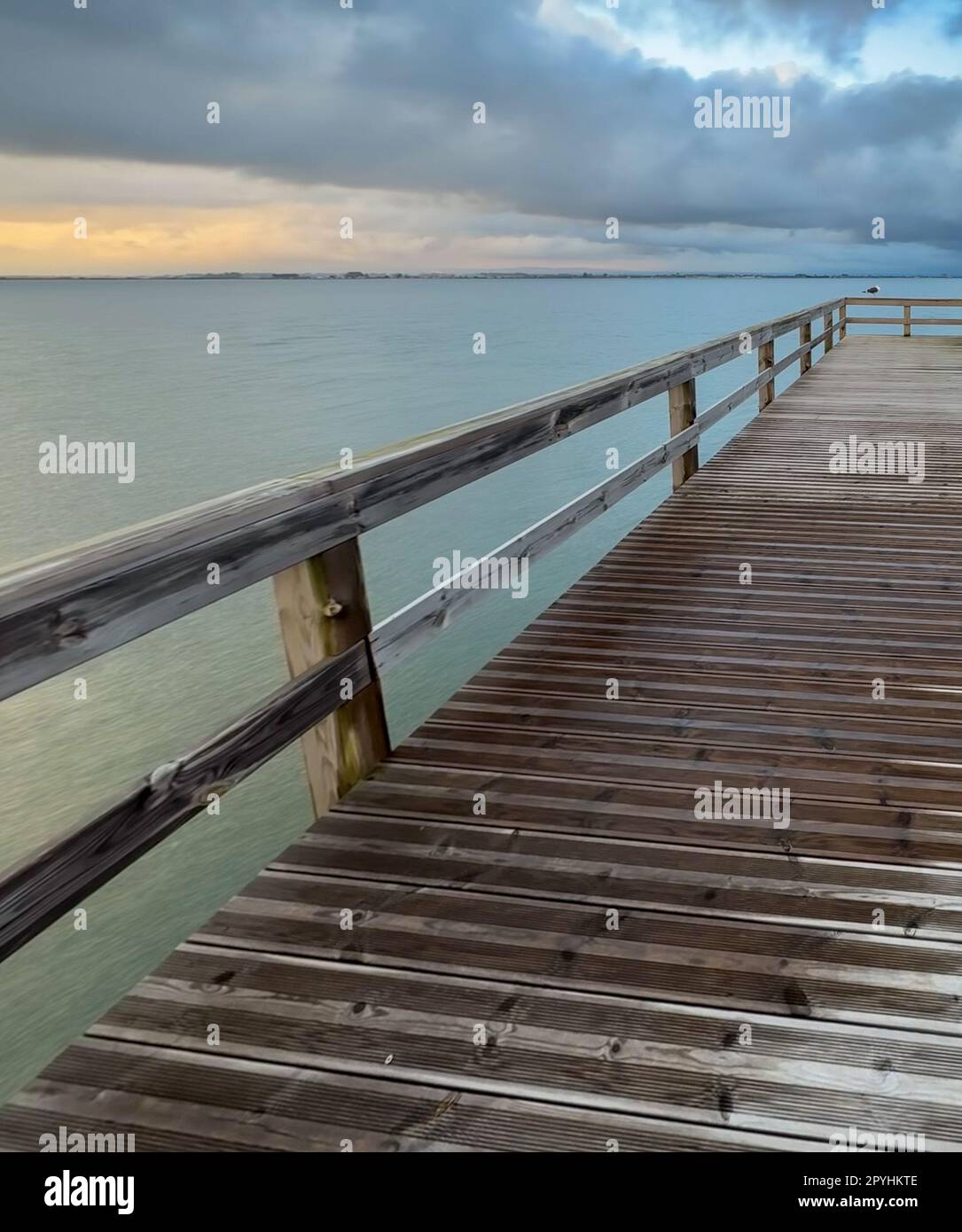 Torreira murtosa Banque de photographies et d’images à haute résolution