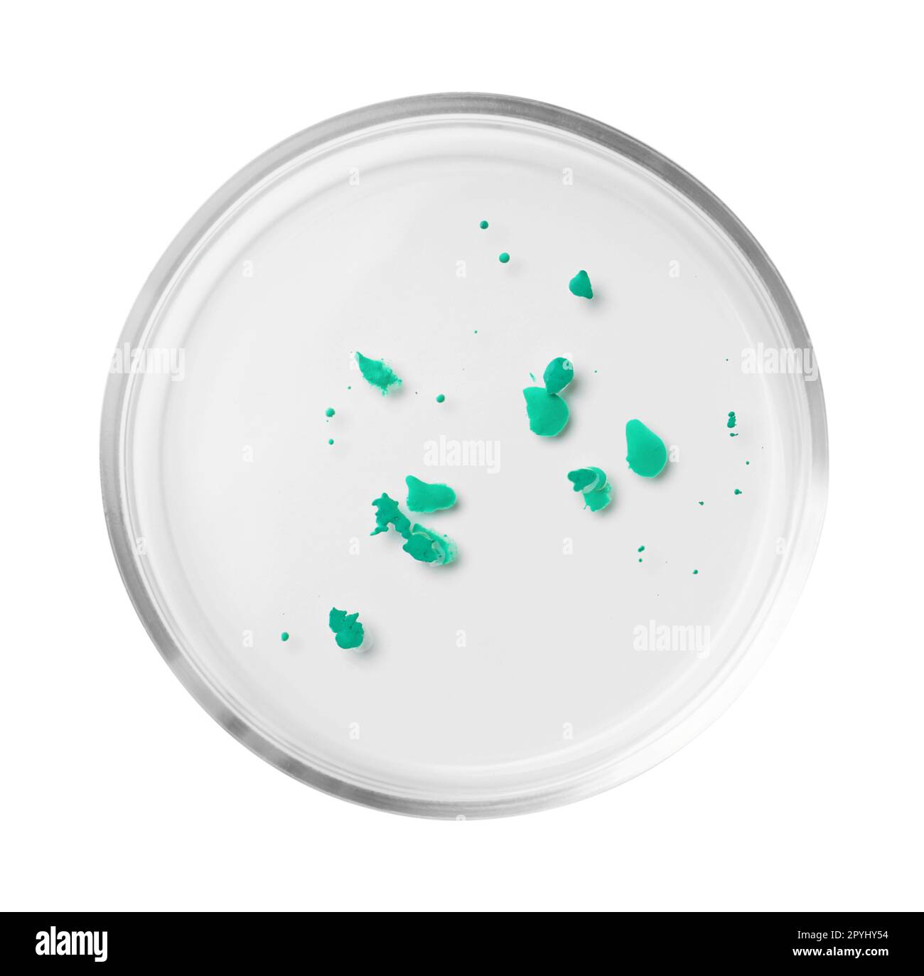 Boîte de Pétri avec colonie de bactéries isolée sur blanc, vue de dessus Banque D'Images