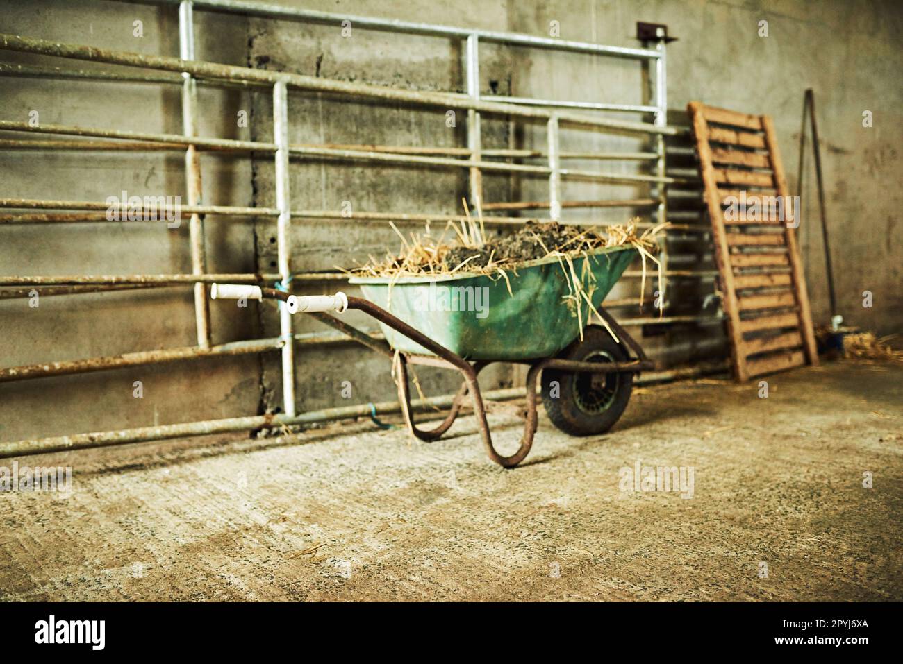 Utilisez une brouette pour transporter des objets autour de la ferme. une brouette remplie de terre et de foin à l'intérieur d'une grange sur une ferme. Banque D'Images