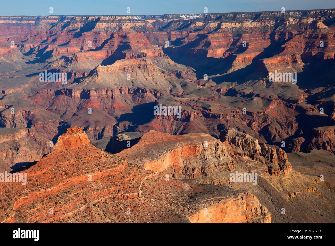 Vue sur le plateau sud près de Yaki point, parc national du Grand Canyon, Arizona Banque D'Images