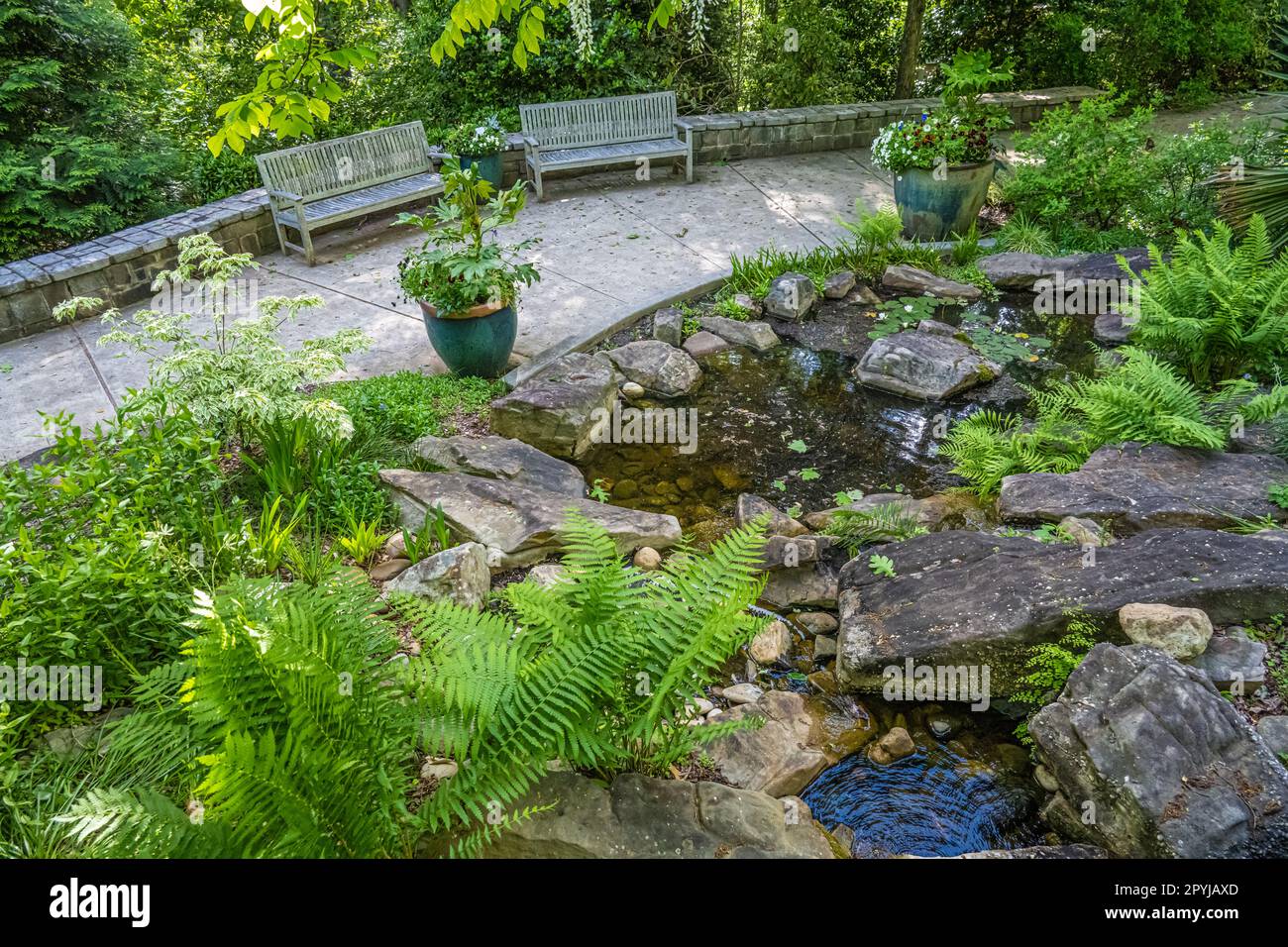 Vue panoramique sur le paisible Stream Garden au jardin botanique d'Atlanta à Gainesville, Géorgie. (ÉTATS-UNIS) Banque D'Images