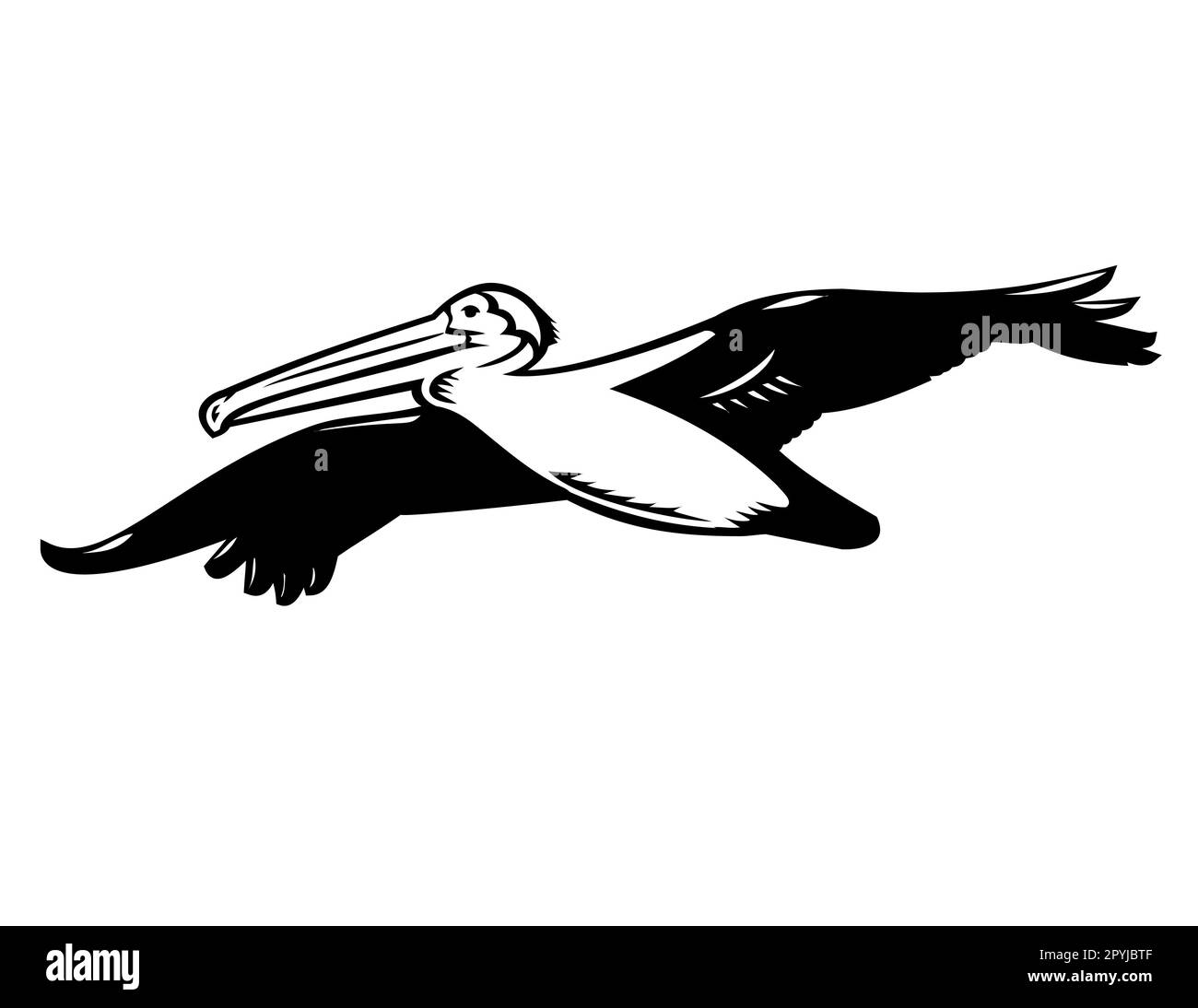 Illustration de style rétro avec coupe de bois d'un pélican brun californien ou d'un Pelecanus occidentalis californicus, un oiseau aquatique, volant haut sur le dos isolé Banque D'Images