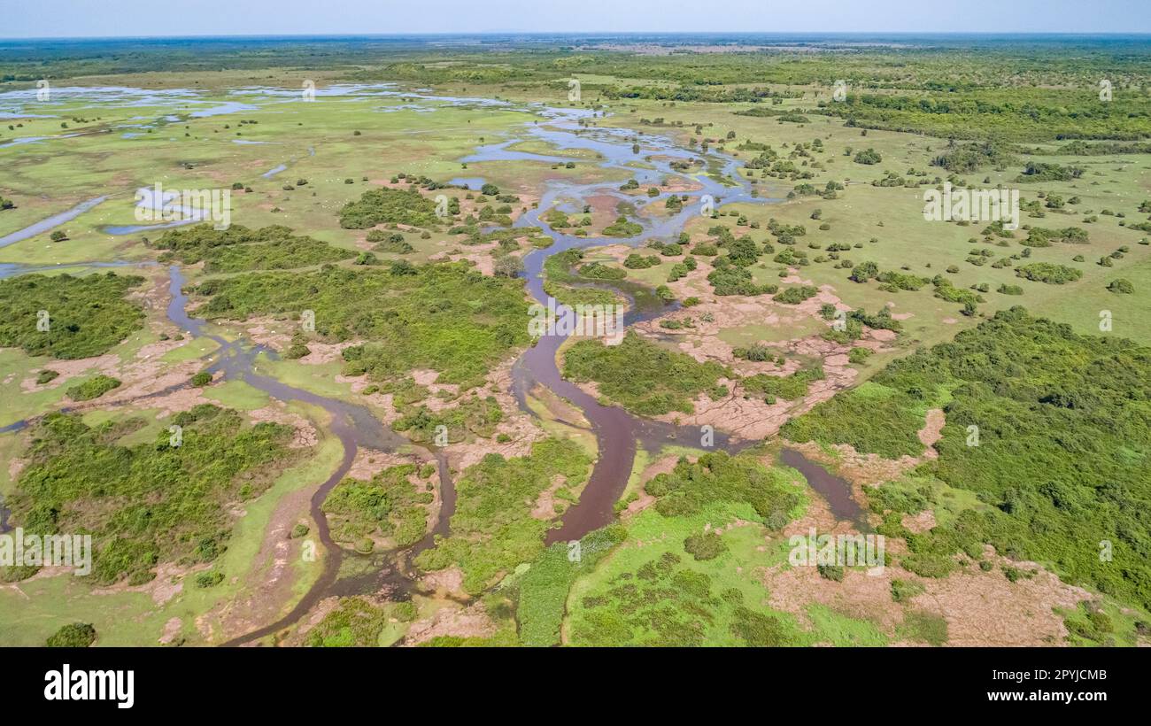 Prise de vue aérienne des terres humides du Pantanal typique paysage avec lagons, forêt, prairies, rivière, champs, Mato Grosso, Brésil Banque D'Images