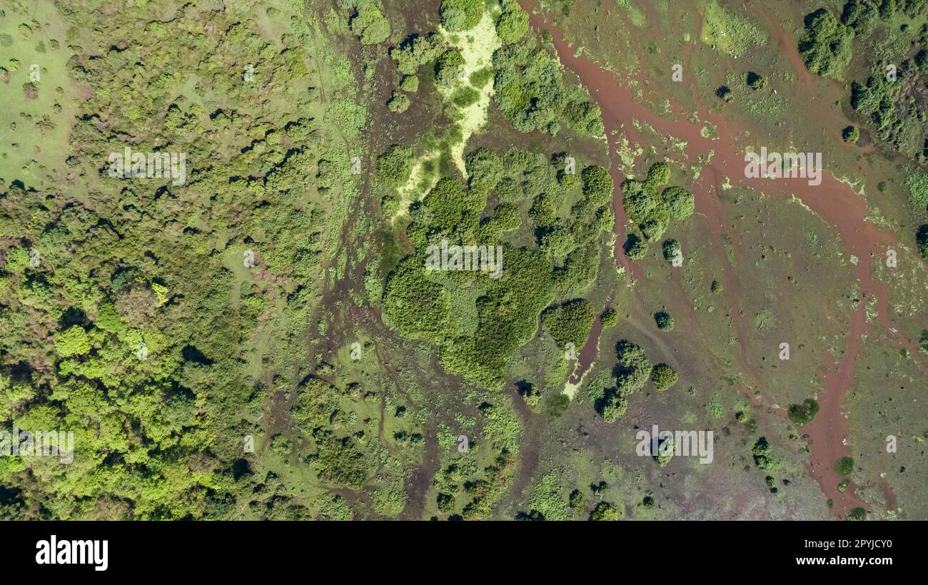 Photo aérienne du paysage du Pantanal avec lagons, forêt, prairies, rivière, champs, Zones humides du Pantanal, Mato Grosso, Brésil Banque D'Images