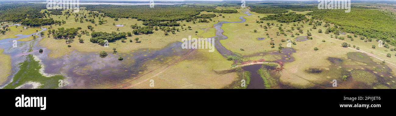 Panorama aérien des terres humides du Pantanal avec lagons, rivières, prairies et forêts, Mato Grosso, Brésil Banque D'Images