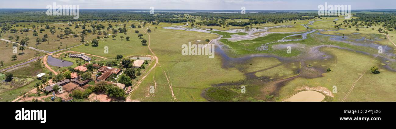 Panorama aérien des terres agricoles typiques du Pantanal avec lagons, rivières, prairies et forêts, Mato Grosso, Brésil Banque D'Images