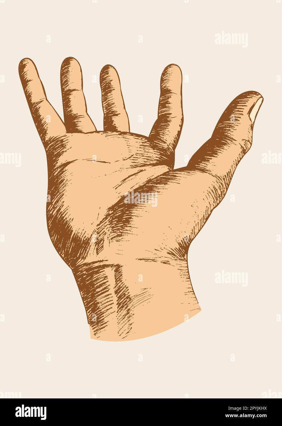 Illustration d'esquisse d'un geste de la main mendiante Illustration de Vecteur