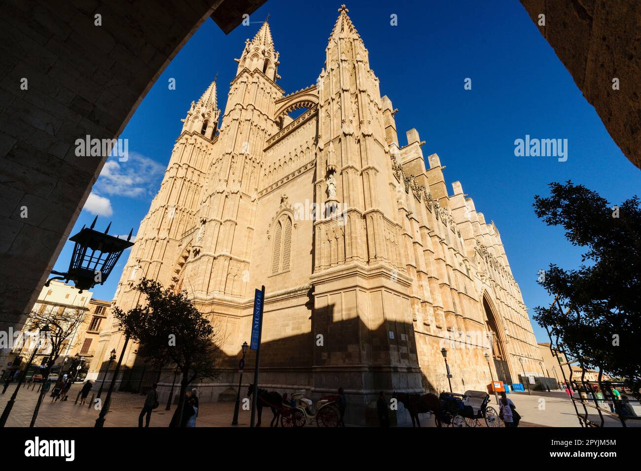 Catedral de Mallorca , siglo XIII, Monumento Histórico artístico, Palma, Majorque, Andalucía, España, europa Banque D'Images