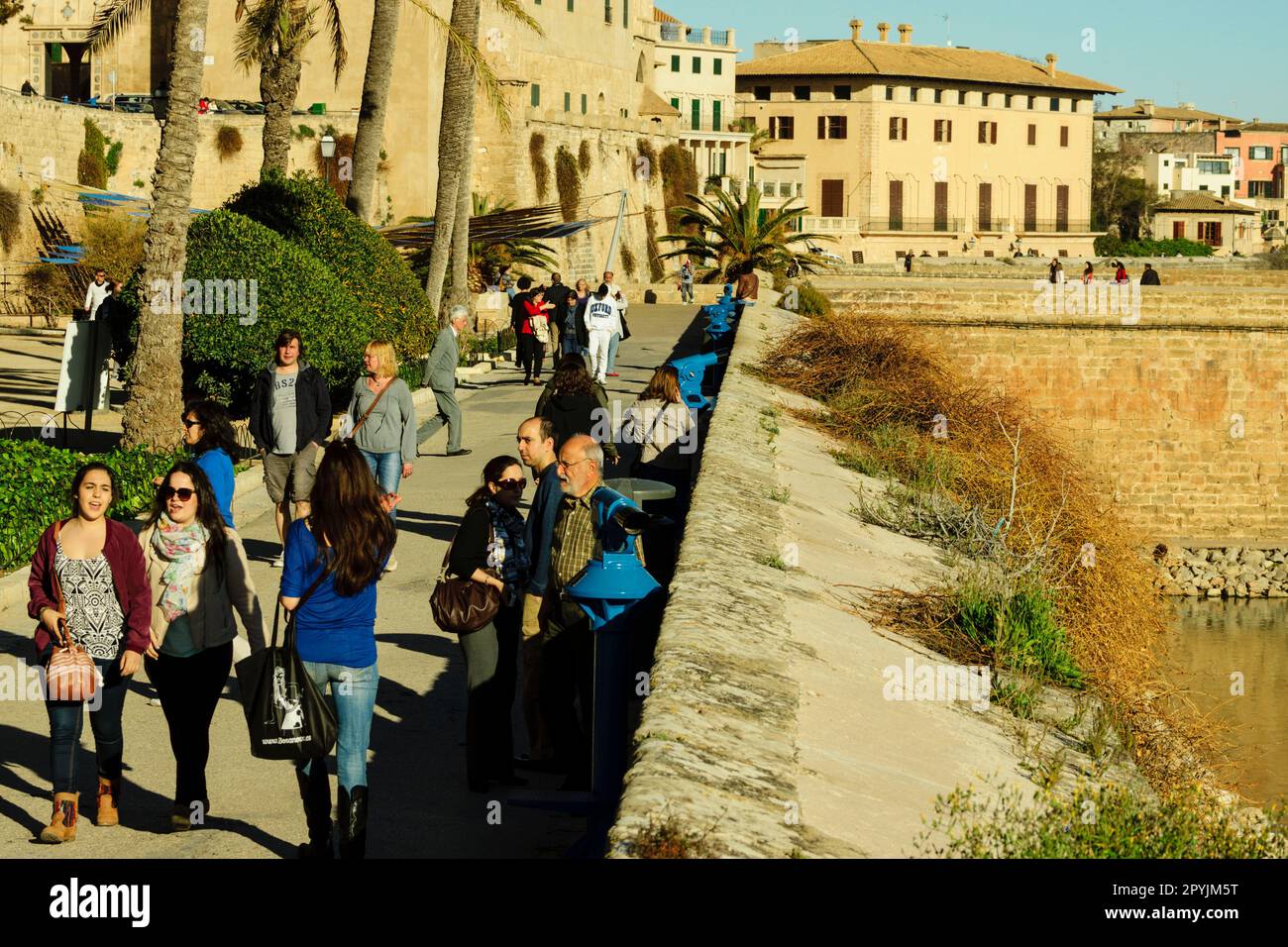 muralla de Palma, Monumento Histórico-Artístico, Palma, majorque, islas baleares, españa, europa Banque D'Images