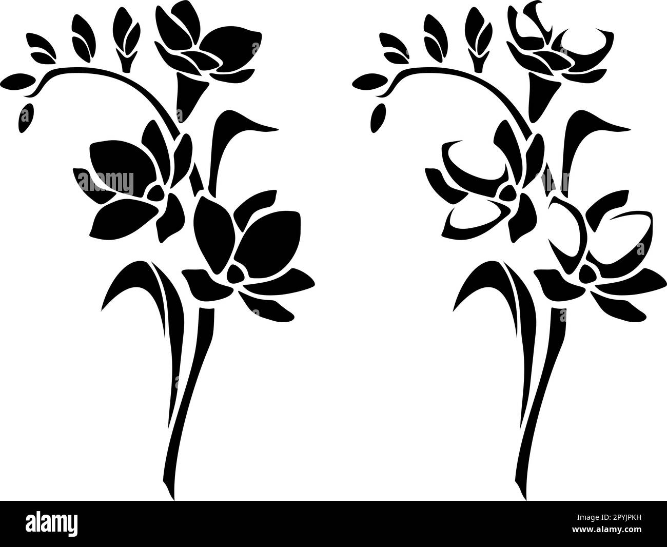 Fleurs FREESIA. Ensemble de silhouettes noires de freesia isolées sur fond blanc. Illustration vectorielle Illustration de Vecteur Fleurs FREESIA. Ensemble de silhouettes noires de freesia isolées sur fond blanc. Illustration vectorielle Illustration de Vecteur