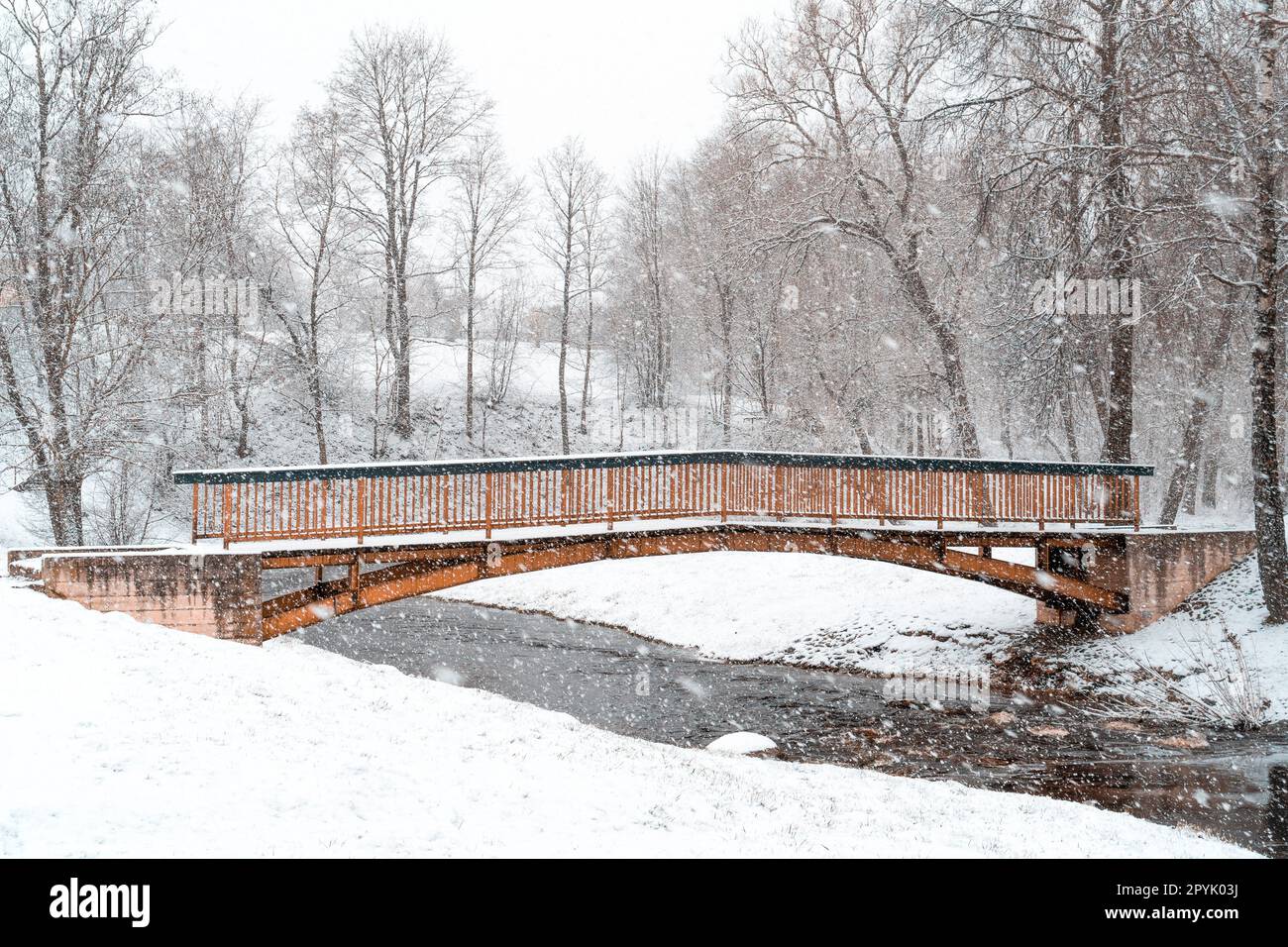 Petit pont sur une rivière en hiver parc enneigé Banque D'Images