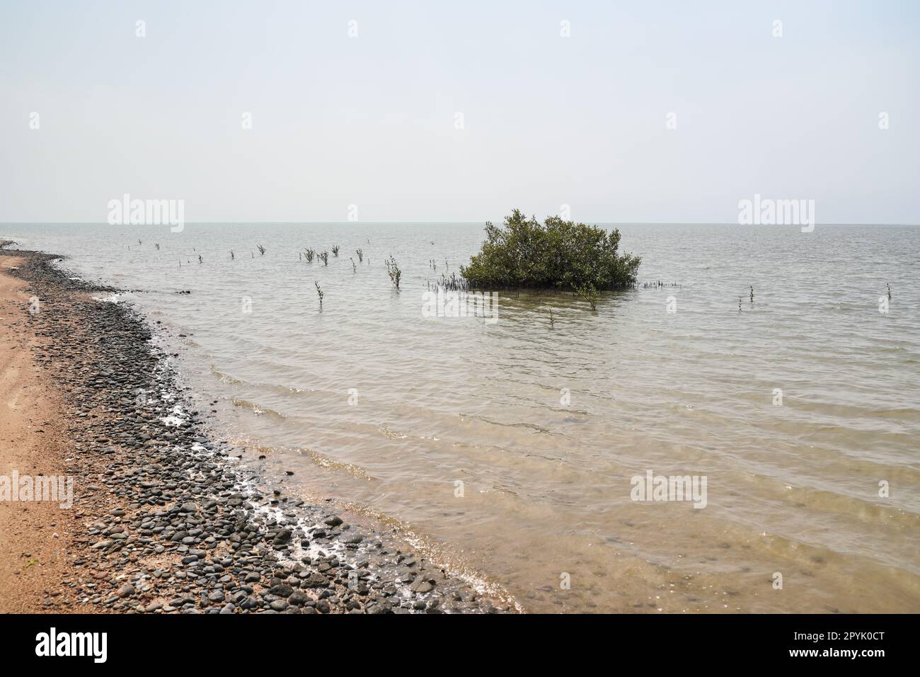 Plage typique près de la mer rouge à Yanbu, Arabie Saoudite. En 2022