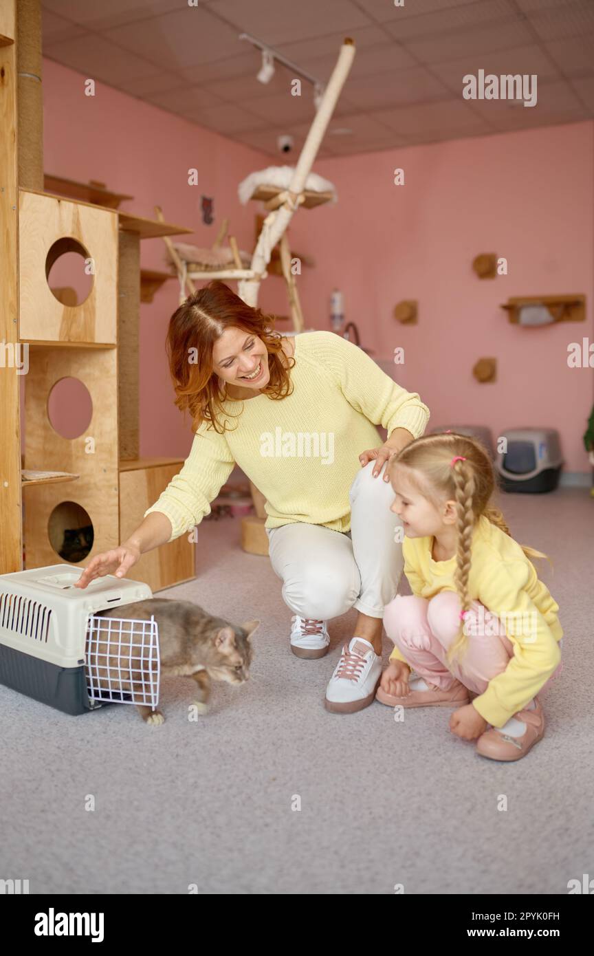 Portrait de la mère montrant à son enfant nouvel animal acheté à l'abri de chat Banque D'Images