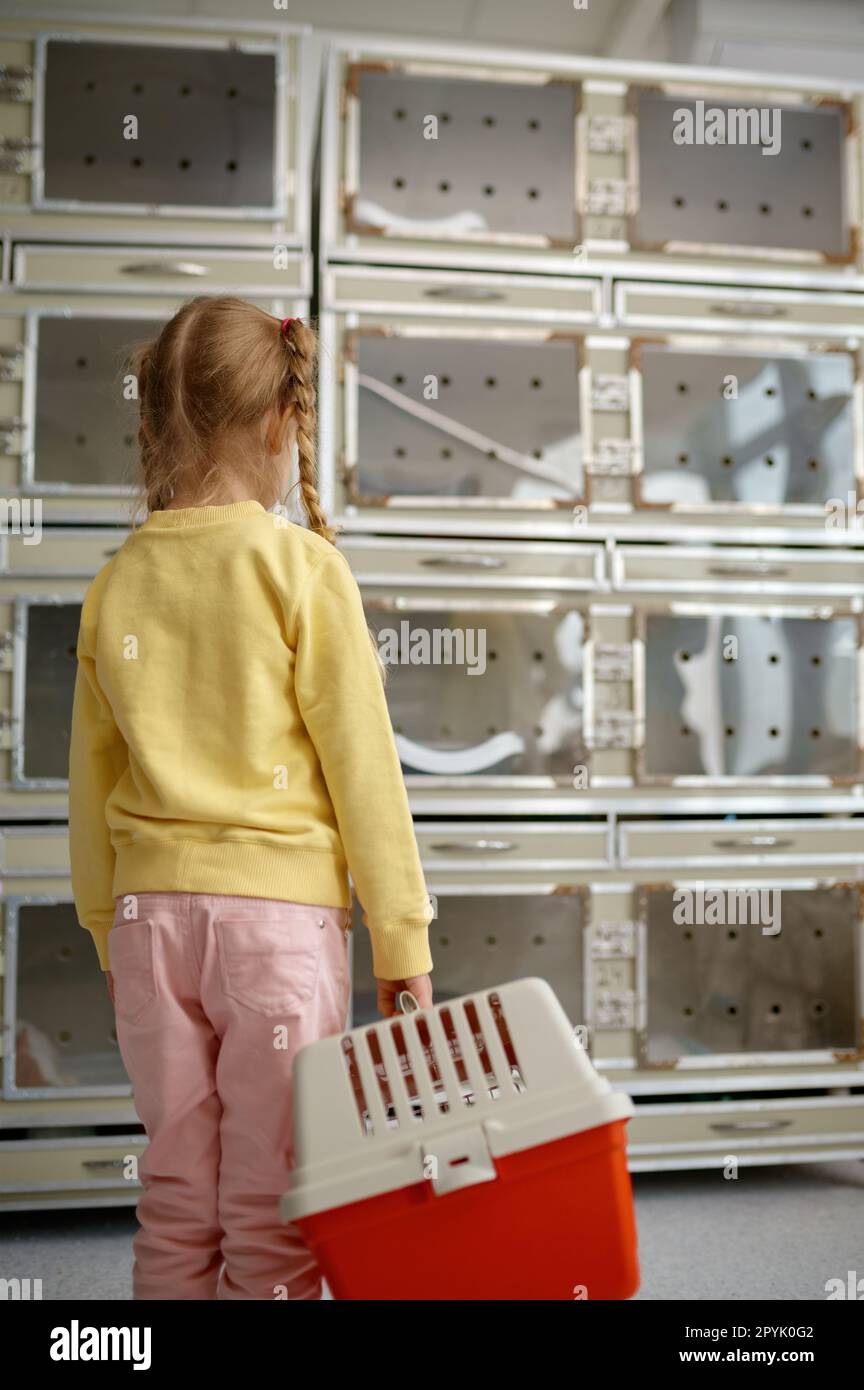 Jolie petite fille avec un support de chat en plastique regardant les cages en verre pour animaux de compagnie Banque D'Images