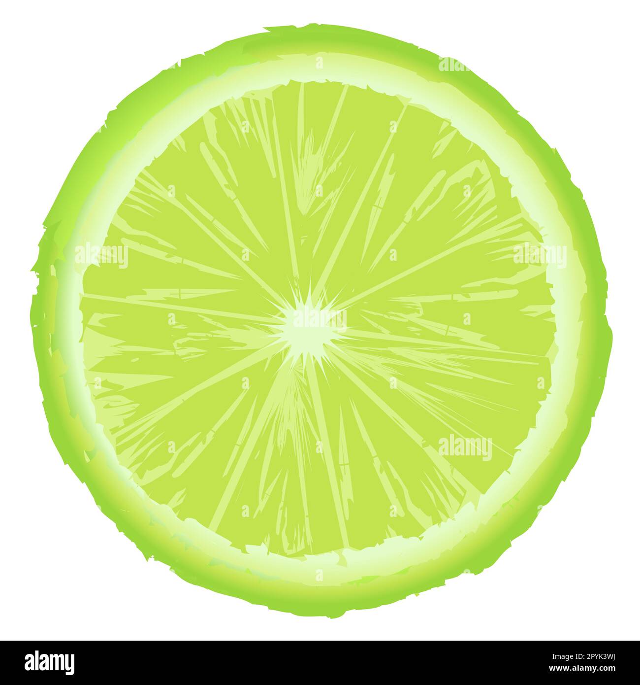 Tranche de citron vert isolée sur fond blanc Banque D'Images