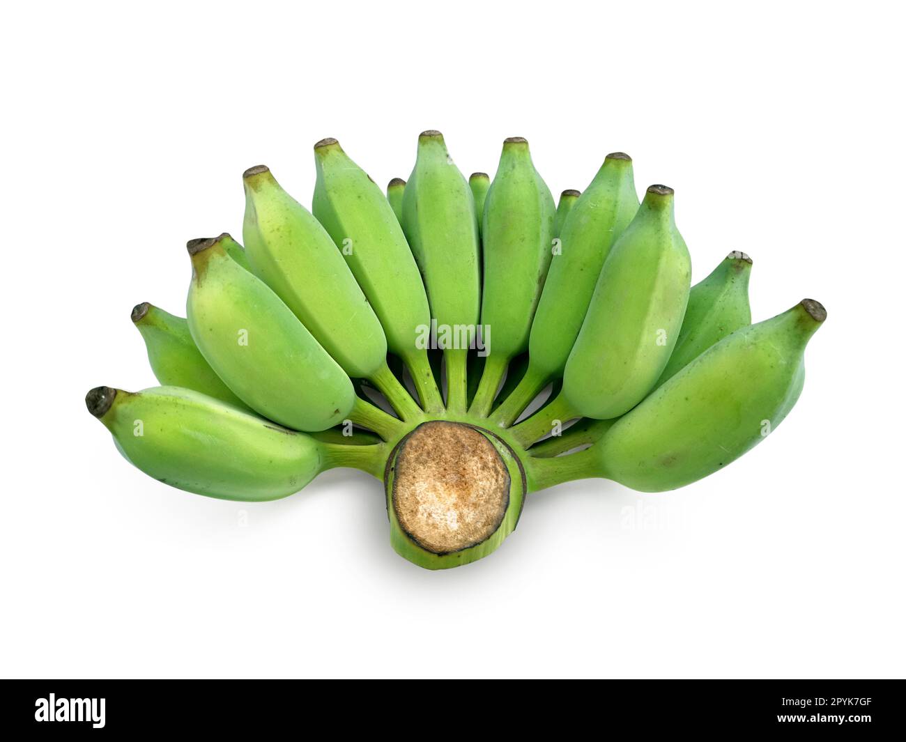 Banane fraîche verte brute isolée sur fond blanc Banque D'Images