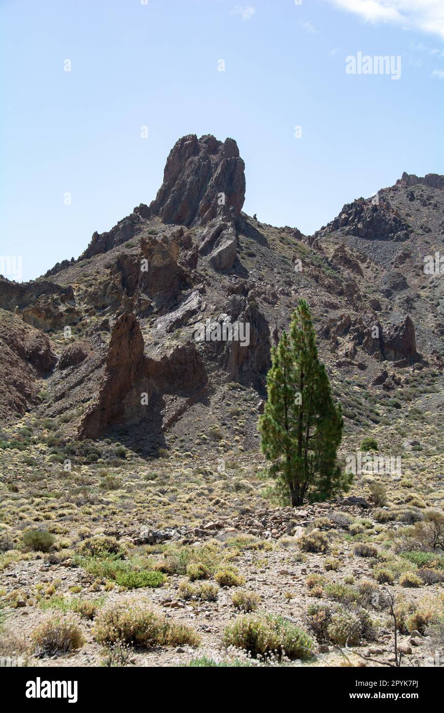 Formations rocheuses fantastiques dans le parc national El Teide à Tenerife, Espagne Banque D'Images