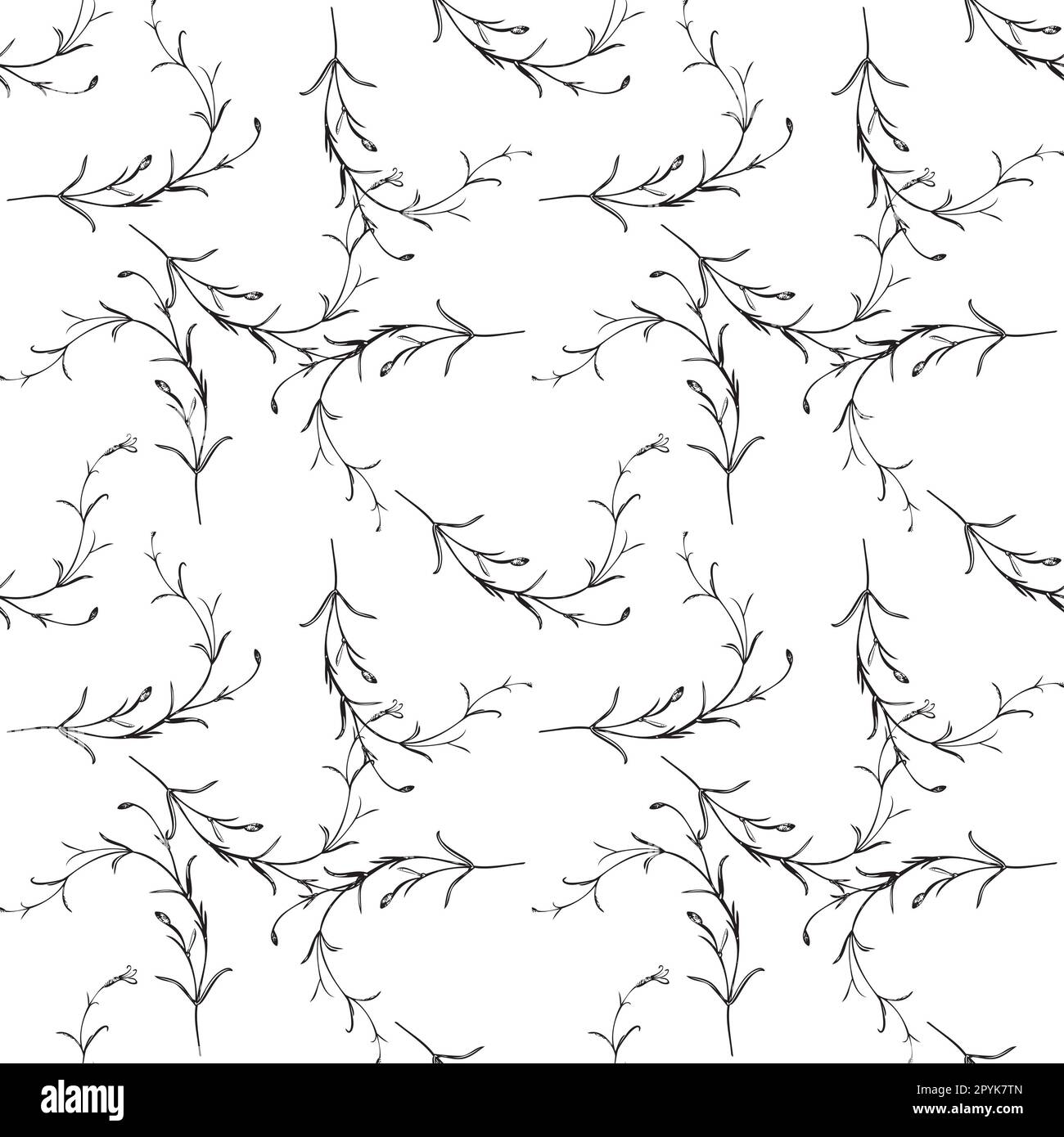 Motif végétal fleuri dessiné à la main et sans couture. Printemps vintage résumé arrière-plan. Style original. Papier peint de conception graphique, emballage, nous Banque D'Images