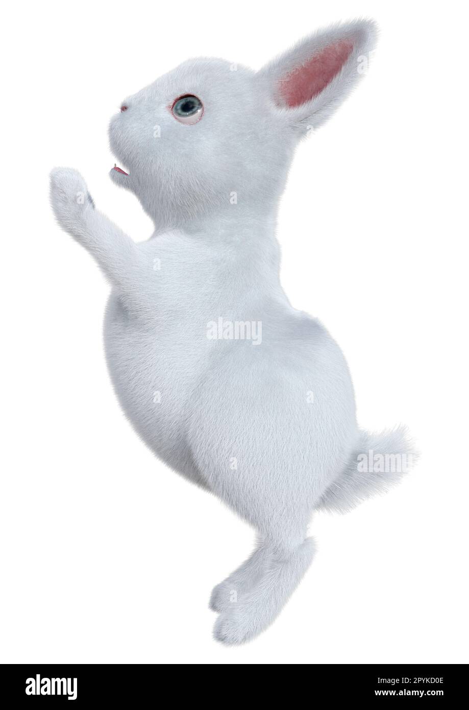 3D rendu d'un lapin blanc isolé sur fond blanc Banque D'Images