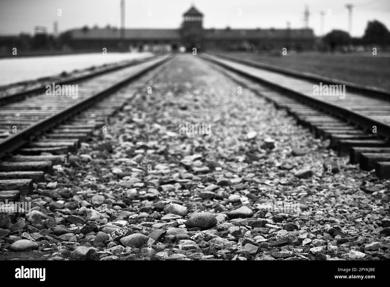 entrée ferroviaire au camp d'extermination à oświęcim, pologne. Photographie historique en noir et blanc Banque D'Images